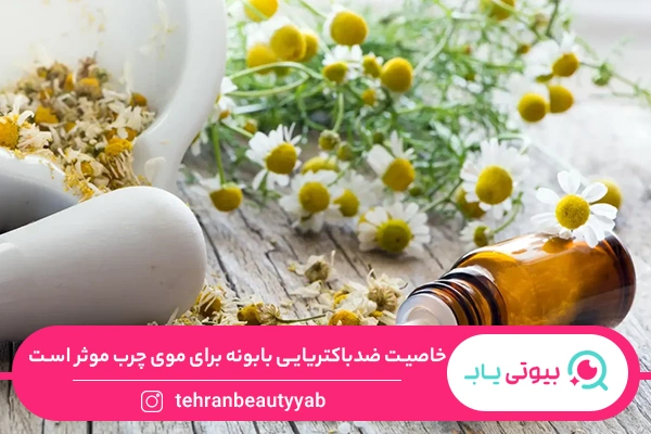 خواص بابونه برای مو
