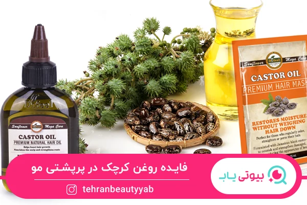 بهترین روغن برای پرپشت شدن مو