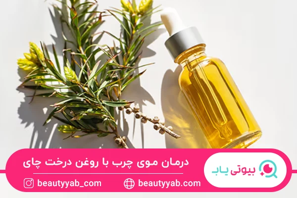 چند قطره روغن درخت چای؛ راهی برای کنترل چربی و شوره سر