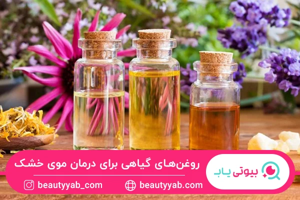بهترین روغنهای گیاهی موثر برای درمان موی خشک