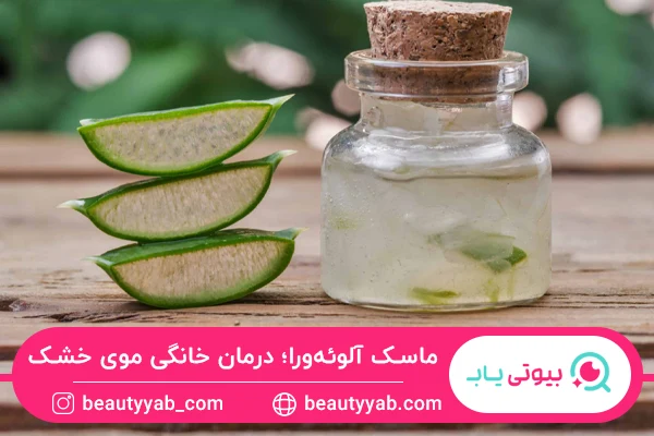 ماسک آلوئهورا؛ درمان خانگی موهای خشک و شکننده
